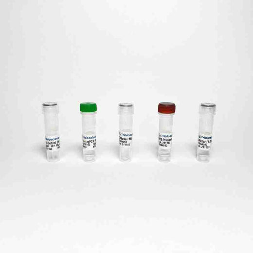 M13 Phage/Bacteriophage qPCR Titer Detection Kit