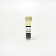 Kodaq 2X PCR MasterMix Detection Kit