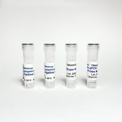 Curvularia Cymbopogonis qPCR Detection Kit