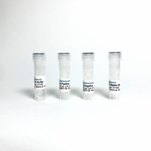 Arabis Mosaic Virus (ArMV) RT-qPCR Detection System Detection Kit