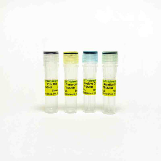 Powdery Mildew qPCR Detection Kit