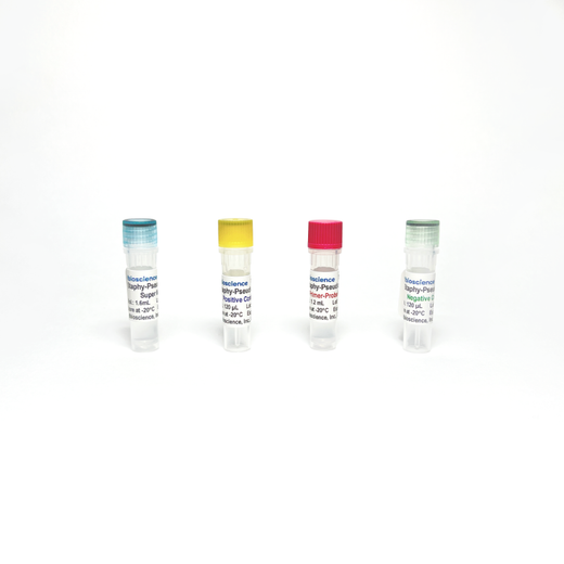 Pseudomonas Aeruginosa and Staphylococcus Aureus Detection qPCR Detection Kit