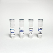 Bifidobacterium Longum qPCR Kit