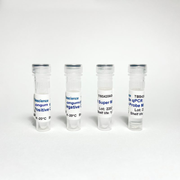 Bifidobacterium Longum qPCR Kit