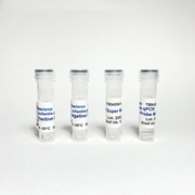 Bifidobacterium infantis qPCR Kit