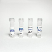 blaOXA-58 qPCR Kit