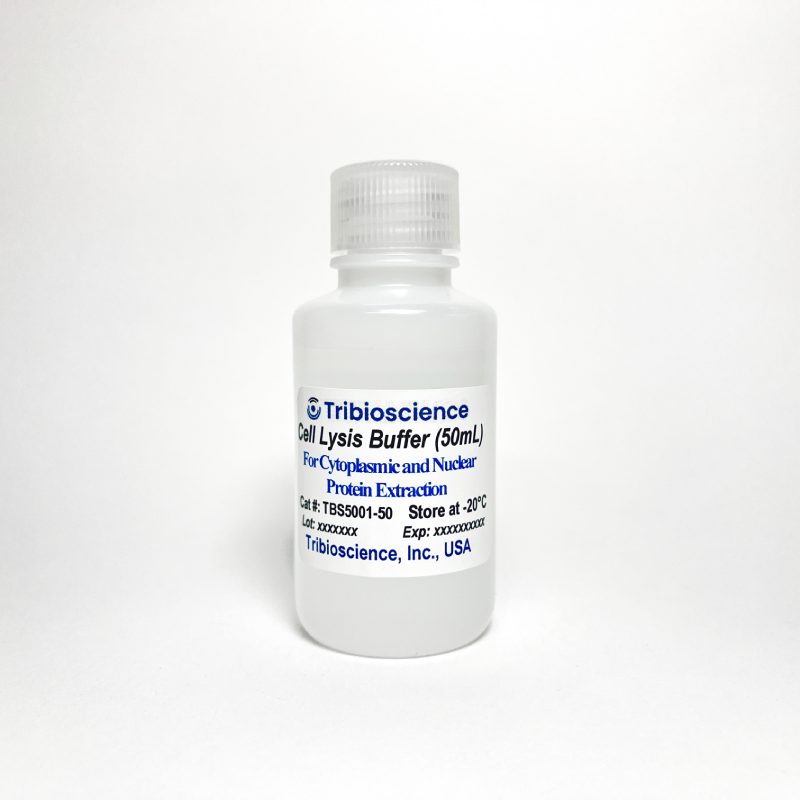 Protein Cell Lysis Buffer (5x)