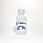 Protein Cell Lysis Buffer (5x)
