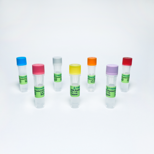 BSA Standard Solution