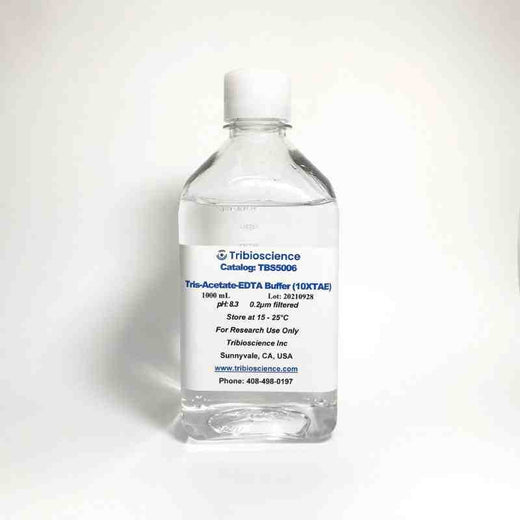 Tris-Acetate-EDTA Buffer (TAE Buffer-10x)