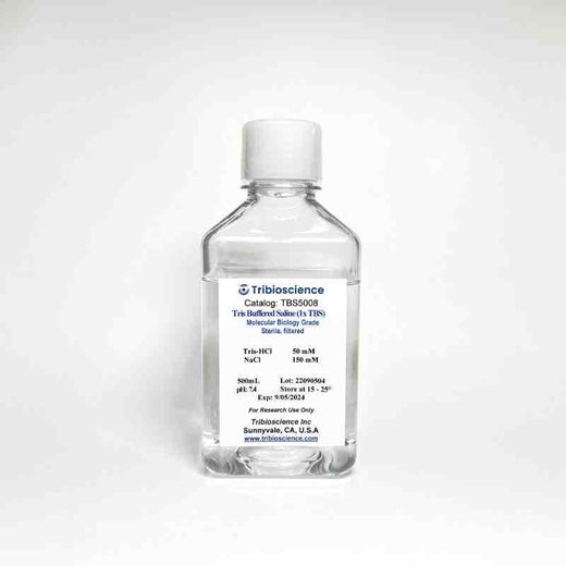 Tris Buffered Saline (1x TBS)