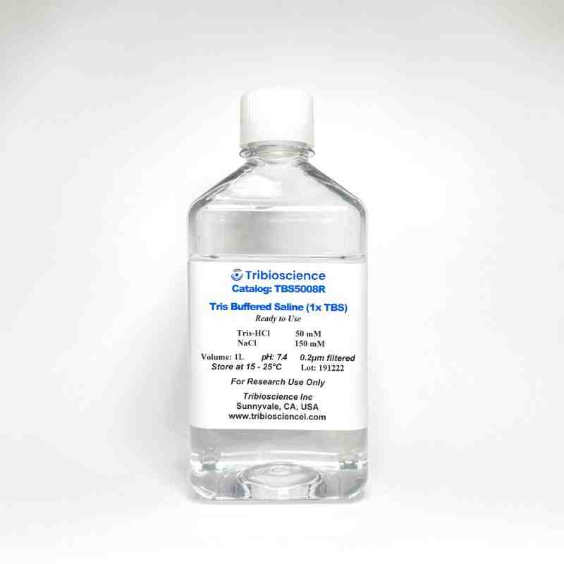 Tris Buffered Saline (1x TBS)