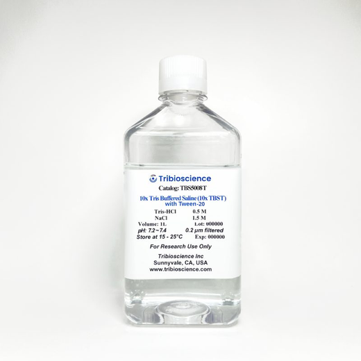 Tris Buffered Saline with Tween-20 (10x TBST)