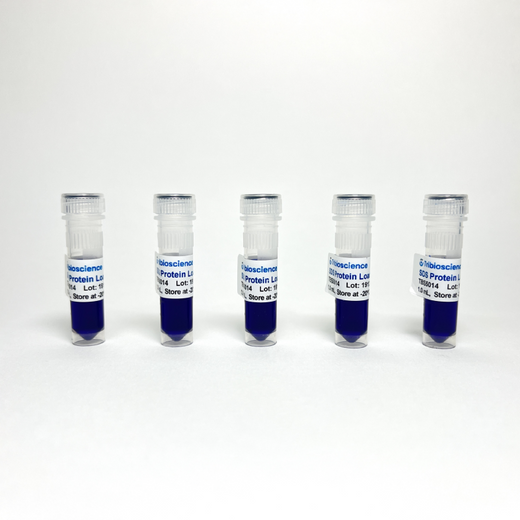6x SDS Protein Loading Buffer