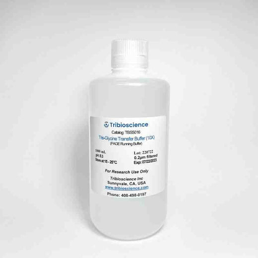 10x PAGE-gel transfer buffer