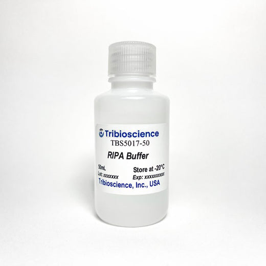 RIPA Buffer