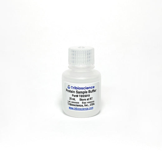2x Protein Sample Buffer