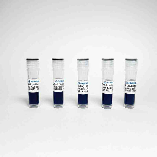 6x DNA Loading Buffer