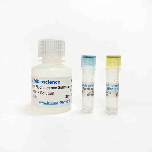 HRP Fluorescence Substrate System