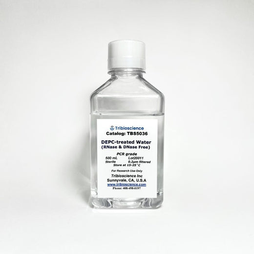 DEPC-Treated Water
