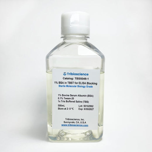 1% Bovine Serum Albumin in TBST Buffer for ELISA Blocking