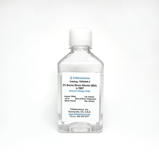 2% Bovine Serum Albumin in TBST Buffer
