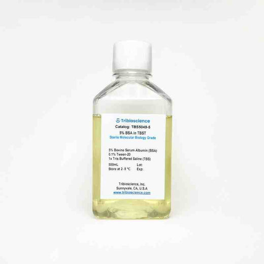 5% Bovine Serum Albumin in TBST Buffer