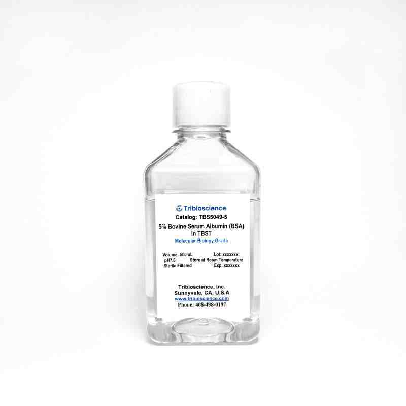 5% Bovine Serum Albumin in TBST Buffer