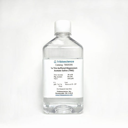 1x Tris-buffered Magnesium Acetate Saline (TMS)