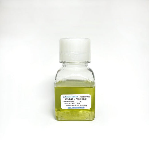 10% BSA Blocking PBS Solution, Sterile