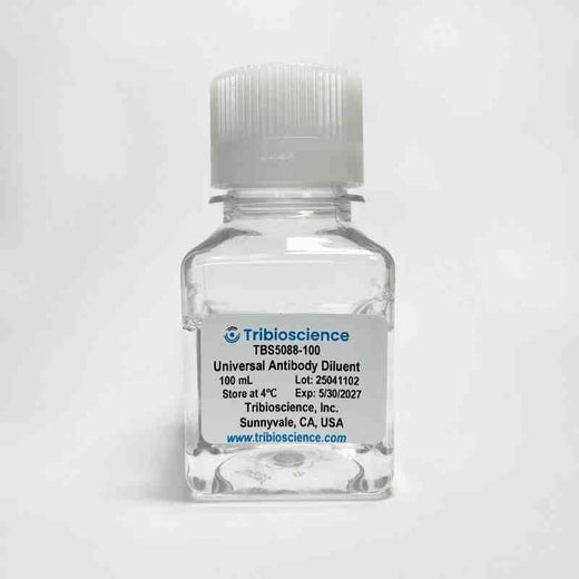 Universal Antibody Dilution Buffer, BSA-Free
