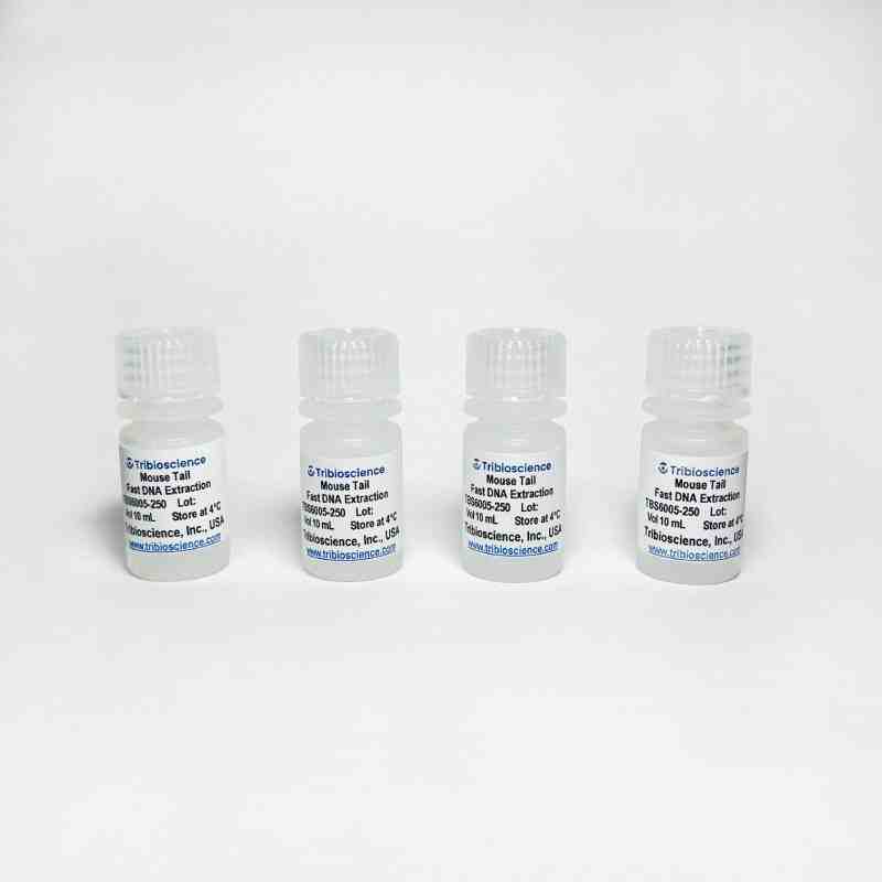 Mouse Tail Fast DNA Extraction Kit