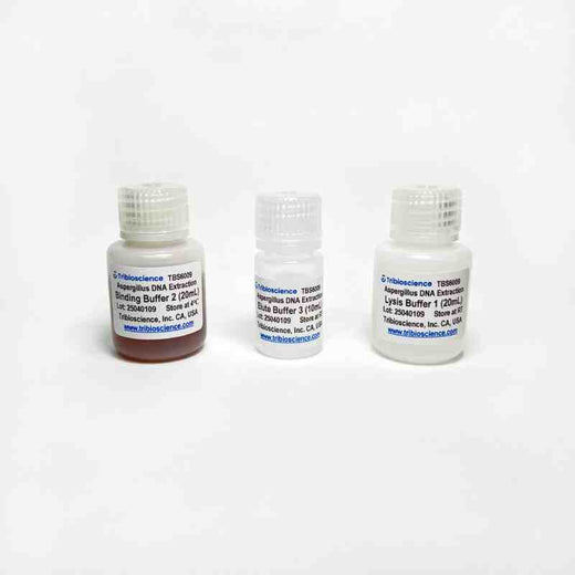 Aspergillus Genomic DNA Extraction