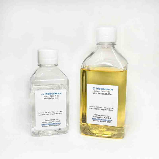 Food-born virus RNA/DNA Extraction