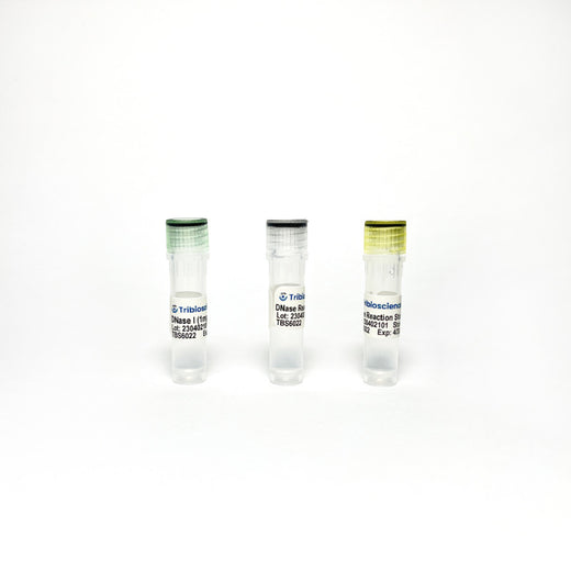 DNase I Solution (1 mg/mL)