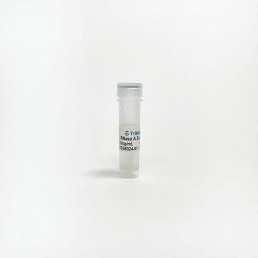 RNase A Solution