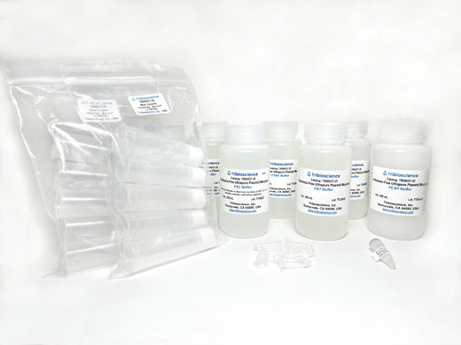 Endotoxin-free Ultrapure Plasmid DNA Maxiprep