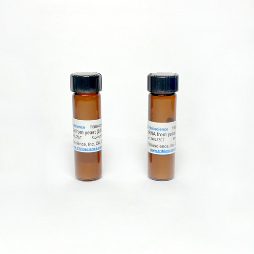 Transfer Ribonucleic Acid / tRNA (from yeast)