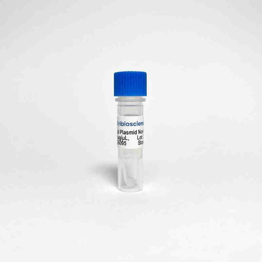Cas9 Nuclease Plasmid Non-Viral Vector