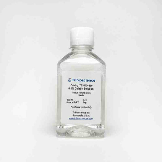 0.1% Gelatin Solution
