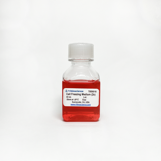 2x Cell Freezing Medium