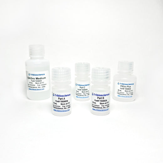 Brown Adipocyte Differentiation Kit