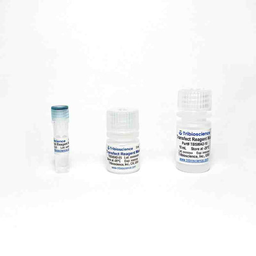TransReagent (Transfection Reagent) Maxi