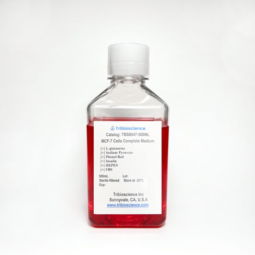MCF-7 Cell Complete Medium