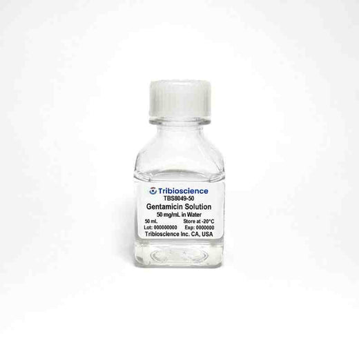 Gentamicin Solution