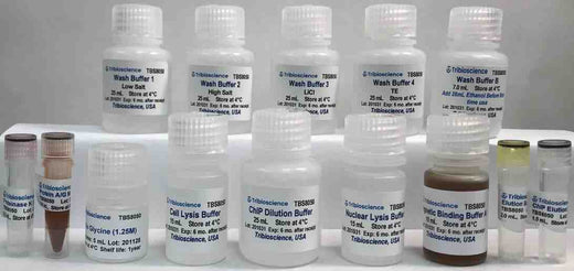 Chromatin Immunoprecipitation (ChIP) Assay Kit