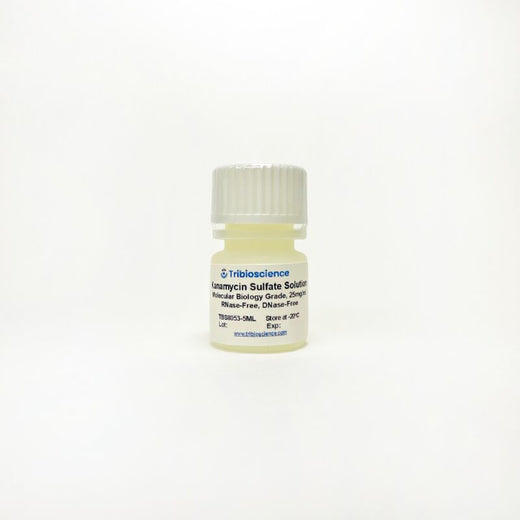 Kanamycin Sulfate Solution (25mg/mL)