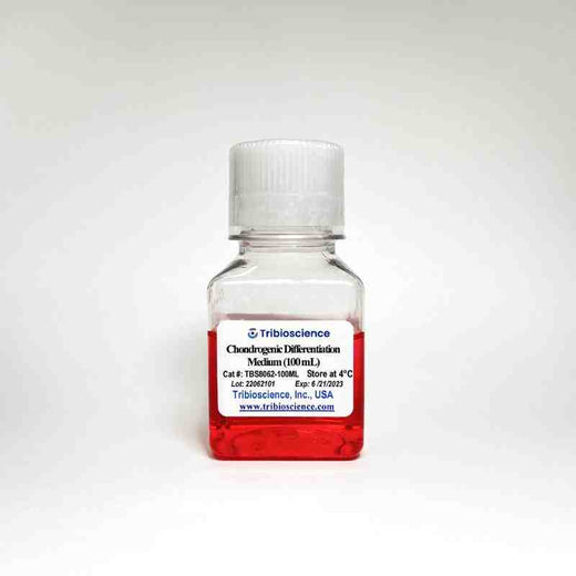 Chondrogenic Differentiation Medium