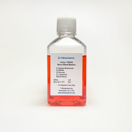 Neuro Basal Medium