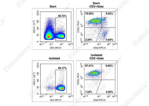 Naïve T cells were isolated from the spleen cells of C57BL/6 mice, and were stained with APC Anti-Mouse CD3 Antibody[17A2] (E-AB-F1013E)、PE Anti-Mouse CD62L[MEL-14] (E-AB-F1011D) and FITC Anti-Mouse CD44[NIM-R8] (AN00917C). The purities of start and final isolated fractions were 21.15% and 95.63%, respectively